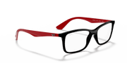 Clear Lenses, Polished Black Frame