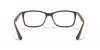 [Clear Lenses, Matte Transparent Brown Frame]