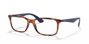 Clear Lenses, Matte Light Havana Frame