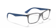 Clear Lenses, Polished Transparent Grey Frame