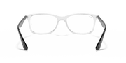 Clear Lenses, Polished Transparent Frame