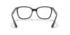 [Clear Lenses, Polished Black Frame]