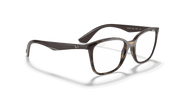 Clear Lenses, Polished Havana Frame