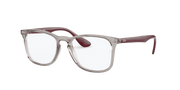 Clear Lenses, Polished Transparent Grey Frame