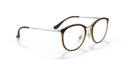 Clear Lenses, Polished Havana Frame