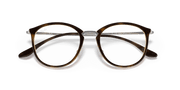 Clear Lenses, Polished Havana Frame