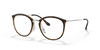 [Clear Lenses, Polished Havana Frame]