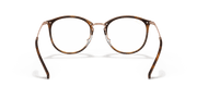 Clear Lenses, Polished Striped Havana Frame