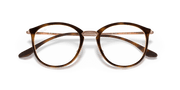 Clear Lenses, Polished Striped Havana Frame