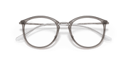 Clear Lenses, Polished Transparent Grey Frame