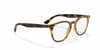 [Clear Lenses, Polished Havana Frame]