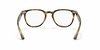 [Clear Lenses, Polished Havana Frame]