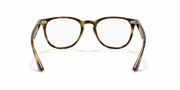 Clear Lenses, Polished Havana Frame