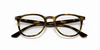 [Clear Lenses, Polished Havana Frame]