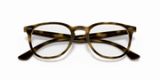 Clear Lenses, Polished Havana Frame