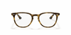 [Clear Lenses, Polished Havana Frame]