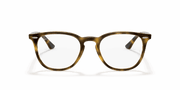 Clear Lenses, Polished Havana Frame