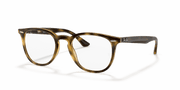 Clear Lenses, Polished Havana Frame