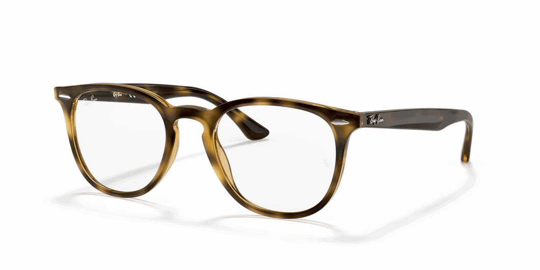 [Clear Lenses, Polished Havana Frame]