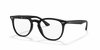 [Clear Lenses, Polished Black Frame]