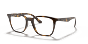 Clear Lenses, Polished Havana Frame