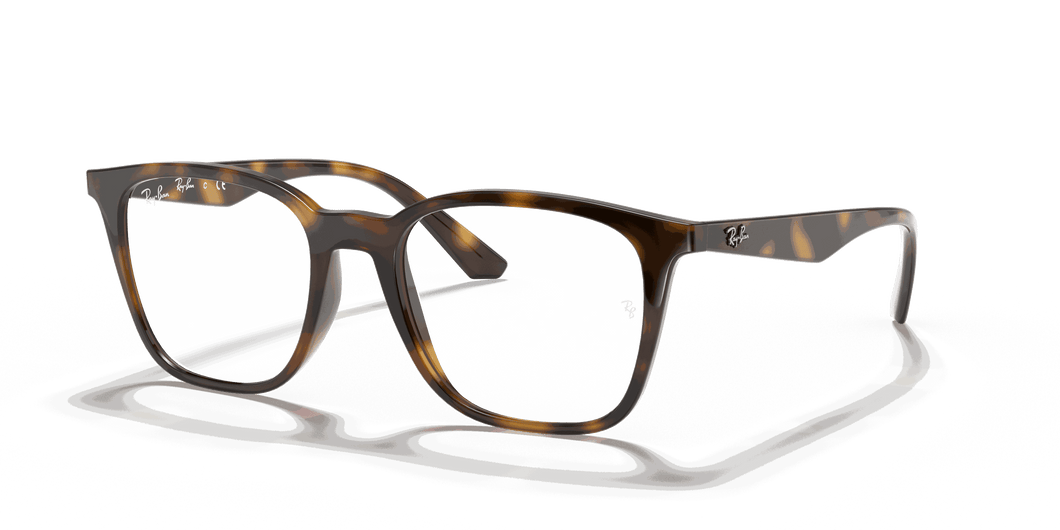 [Clear Lenses, Polished Havana Frame]