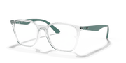 Clear Lenses, Polished Transparent Frame