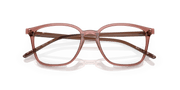 Clear Lenses, Polished Transparent Light Brown Frame