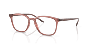 Clear Lenses, Polished Transparent Light Brown Frame