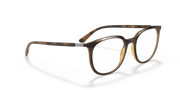 Clear Lenses, Polished Havana Frame