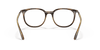 [Clear Lenses, Polished Havana Frame]