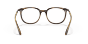 Clear Lenses, Polished Havana Frame