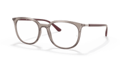 Clear Lenses, Polished Transparent Grey Frame