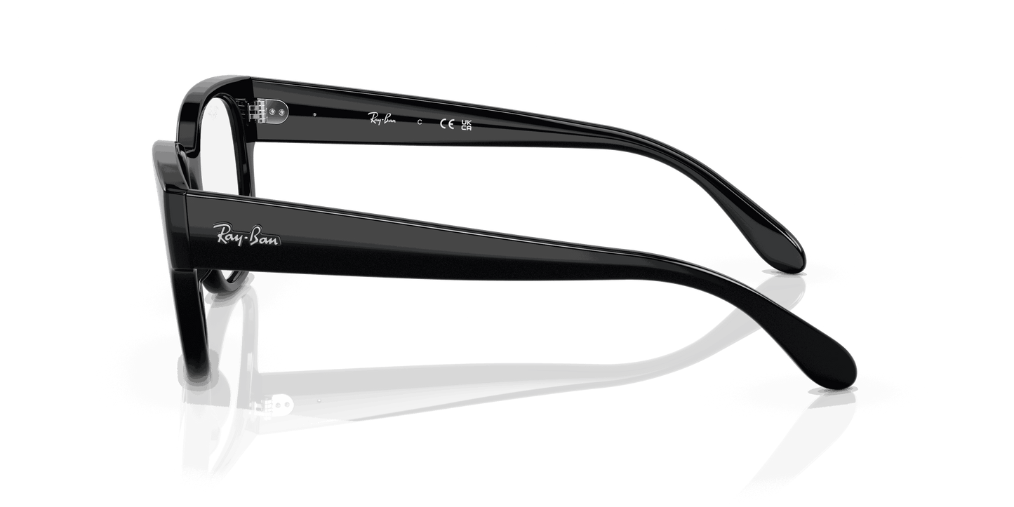 [Clear Lenses, Polished Black Frame]