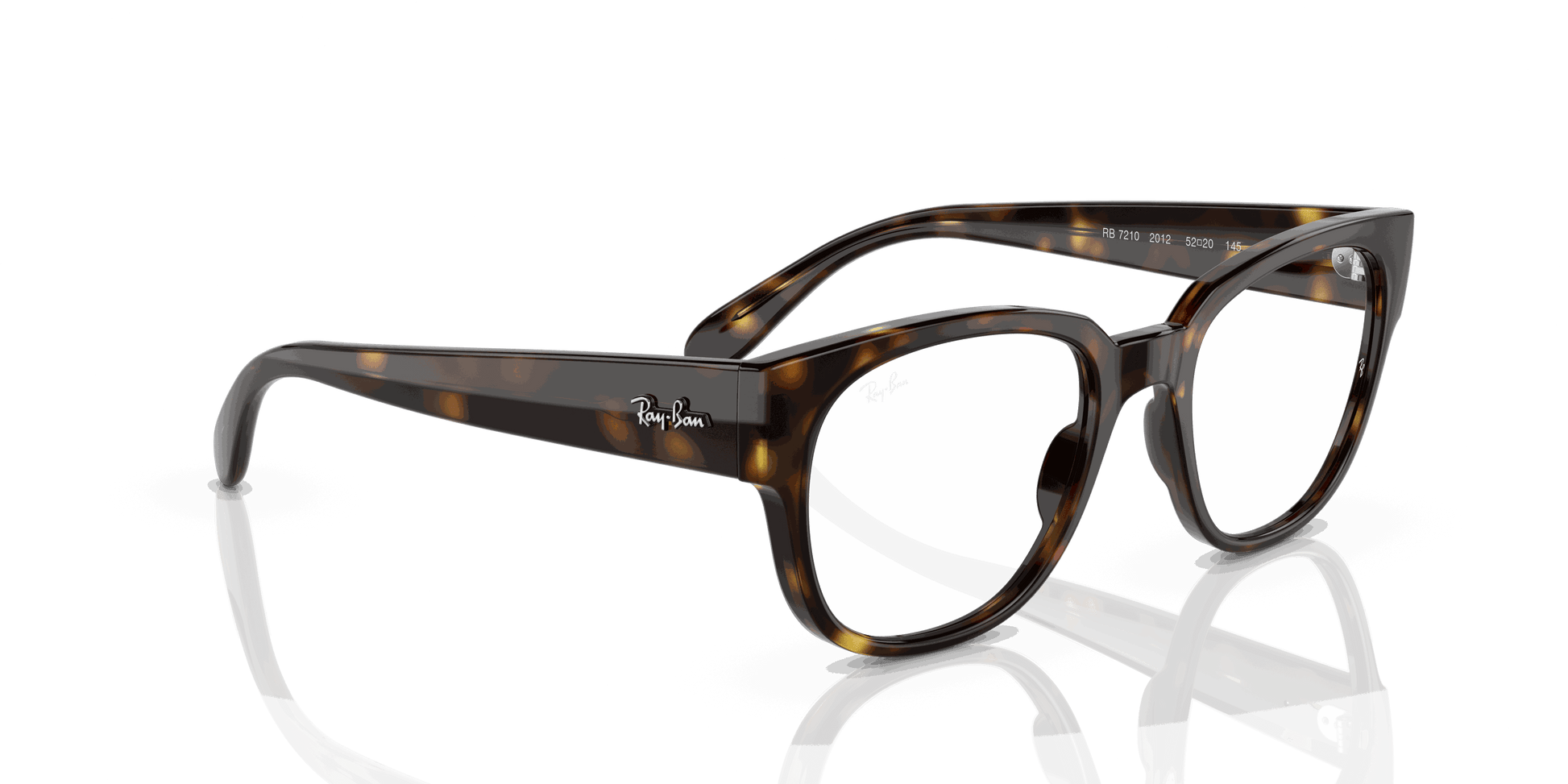 [Clear Lenses, Polished Havana Frame]