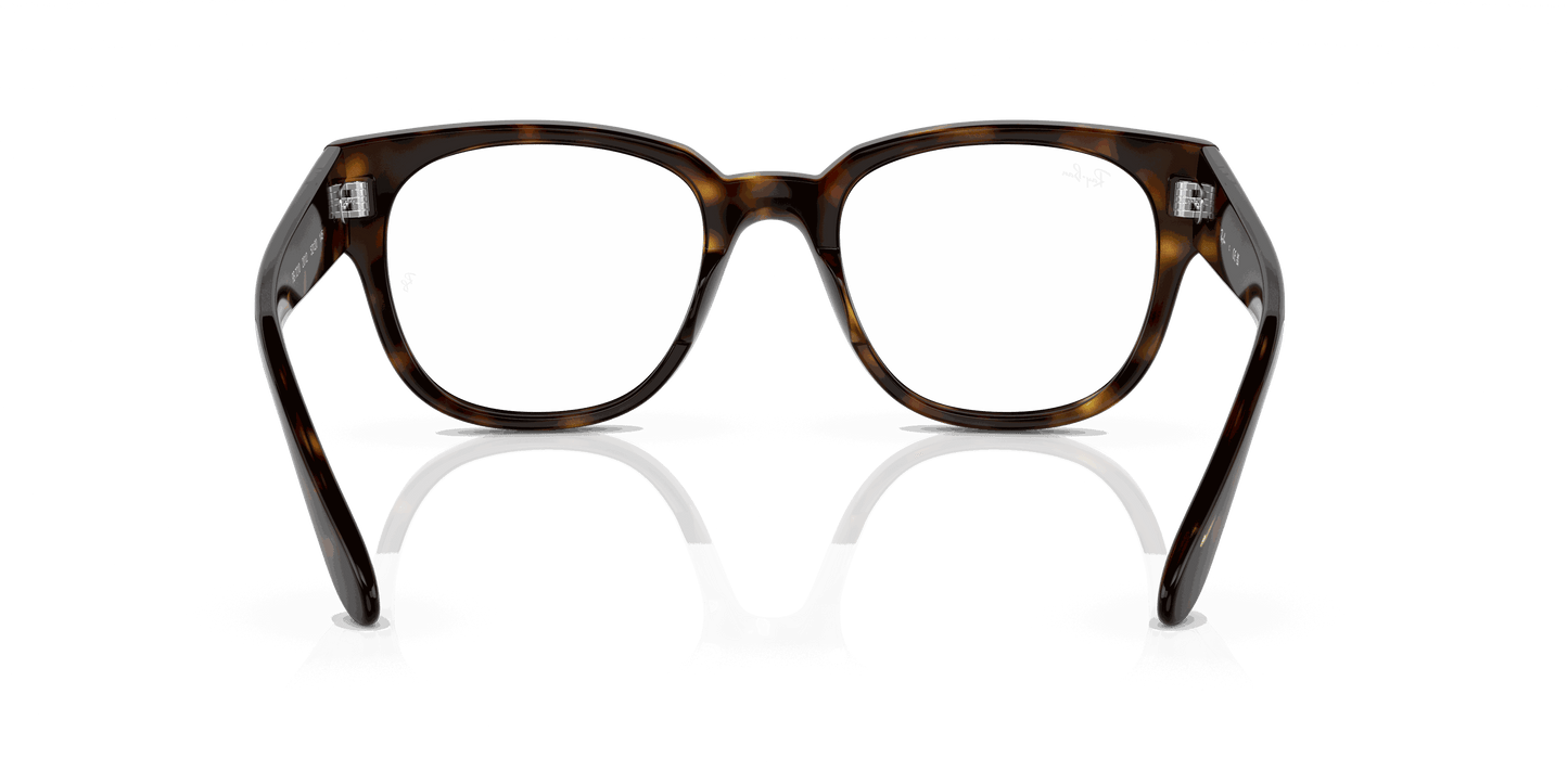 [Clear Lenses, Polished Havana Frame]