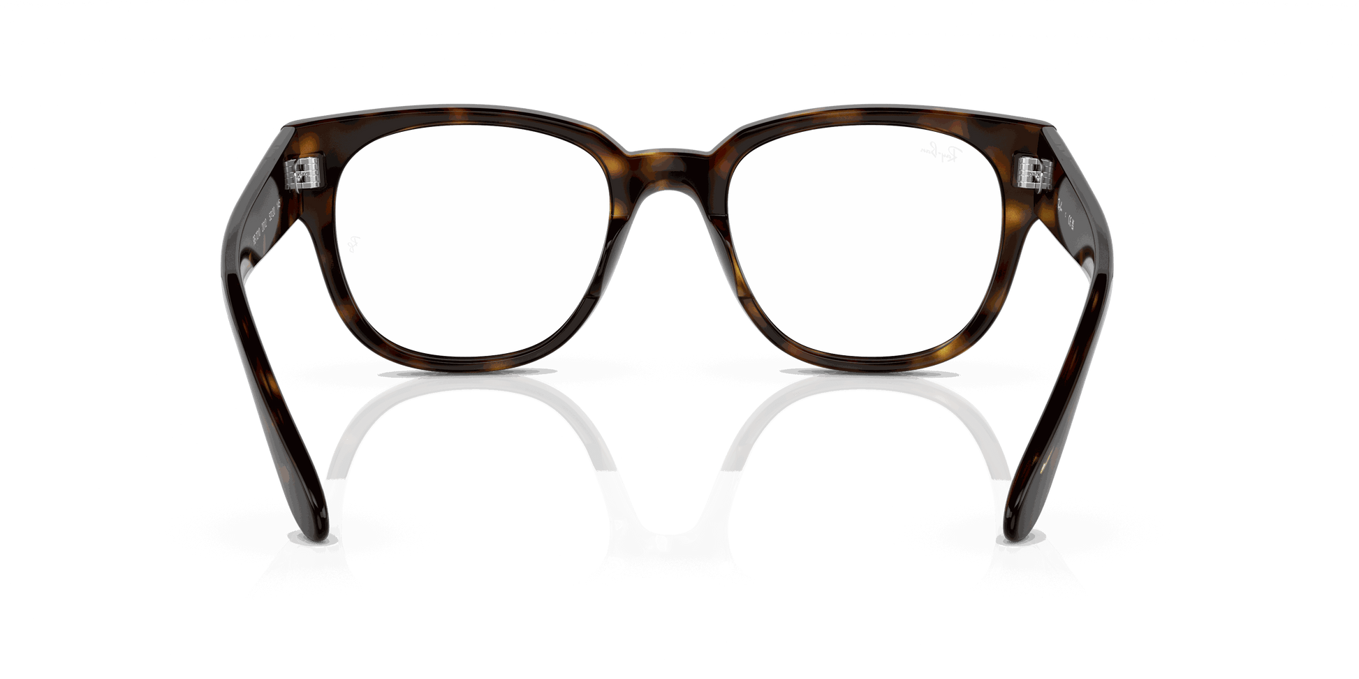 [Clear Lenses, Polished Havana Frame]