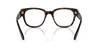 [Clear Lenses, Polished Havana Frame]