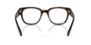 Clear Lenses, Polished Havana Frame