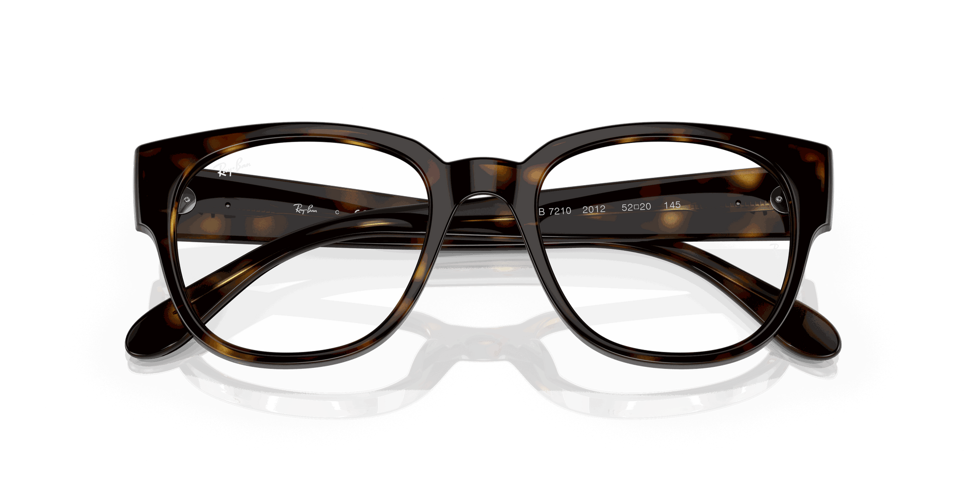 [Clear Lenses, Polished Havana Frame]