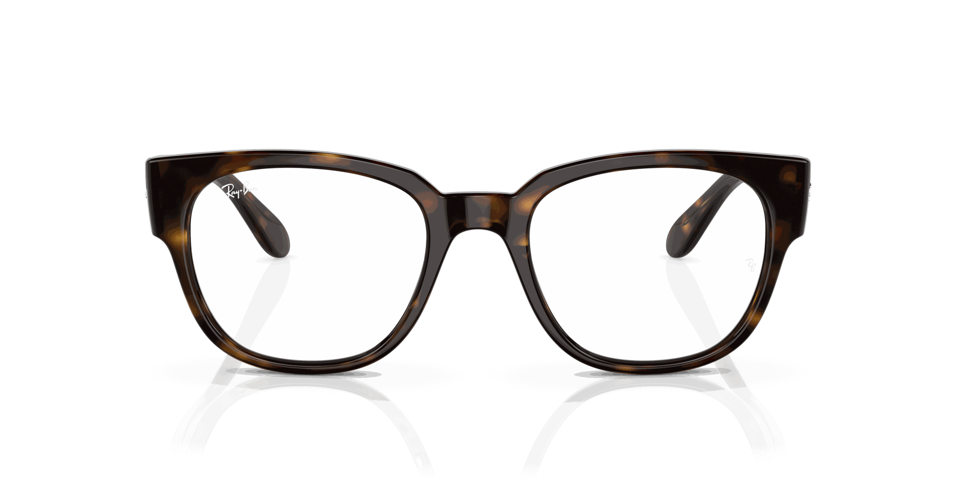 [Clear Lenses, Polished Havana Frame]