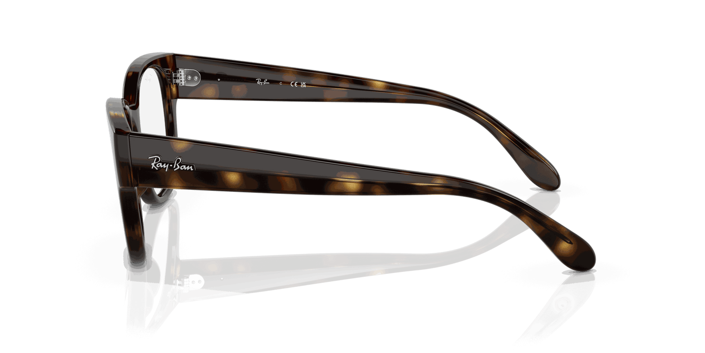 [Clear Lenses, Polished Havana Frame]