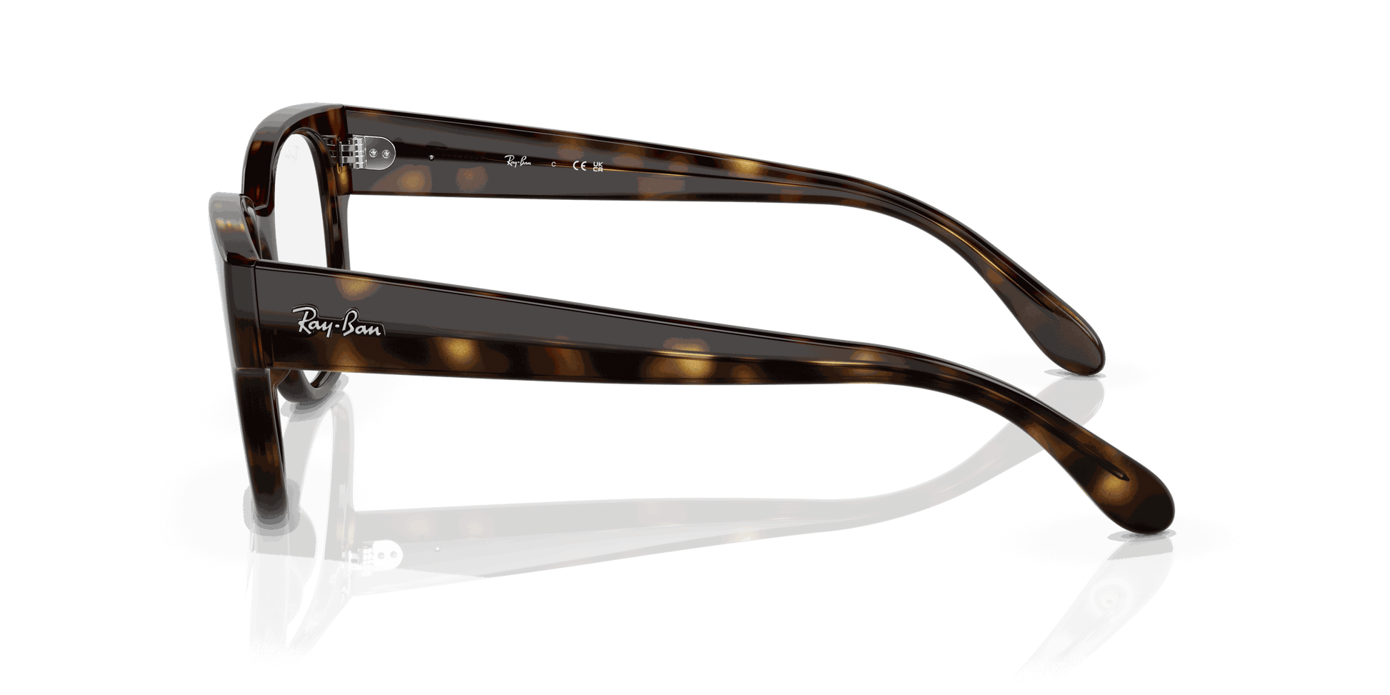 [Clear Lenses, Polished Havana Frame]