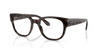 [Clear Lenses, Polished Havana Frame]