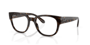 Clear Lenses, Polished Havana Frame