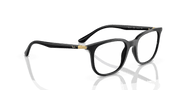 Clear Lenses, Polished Black Frame