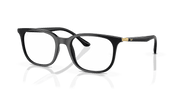 Clear Lenses, Polished Black Frame