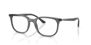 Clear Lenses, Polished Transparent Grey Frame