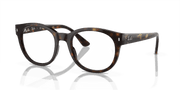 Demo Lens Lenses, Polished Havana Frame