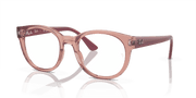 Clear Lenses, Polished Transparent Pink Frame